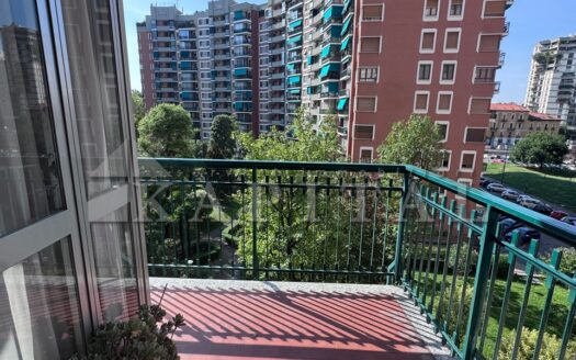 AMPIO DUE LOCALI CON BOX