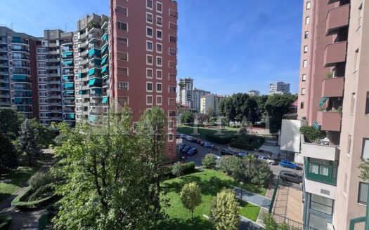 AMPIO DUE LOCALI CON BOX