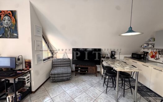 APPARTAMENTO + TERRAZZO