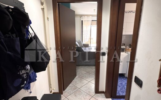 APPARTAMENTO + TERRAZZO